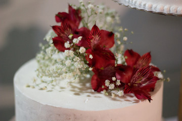 flowers in vase