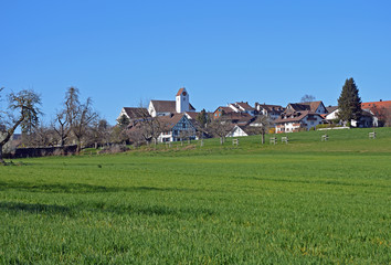Oberwil-Lieli, Kanton Aargau