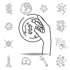 microorganism line icon. element of bacterium virus illustration icons. signs symbols can be used for web logo mobile app UI UX