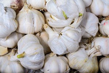 Top view of raw organic garlic with small green sprouted leaves, in display for sale at a street food market, side view or flat lay photo of healthy food