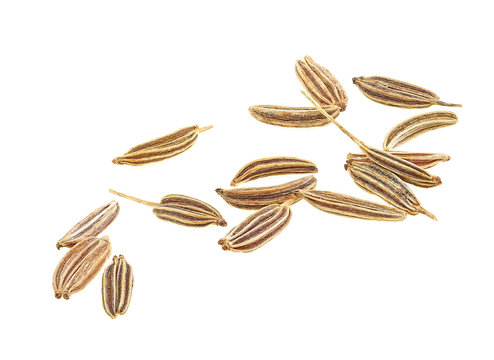 Macro image of cumin seeds isolated on a white background. Caraway on white background.