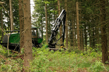 Harvester, Wood harvester, Lumberjack, Kleinschmalkalden, Thuringia, Germany, Europe