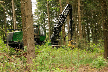 Harvester, Wood harvester, Lumberjack, Kleinschmalkalden, Thuringia, Germany, Europe