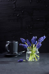  hyacinth