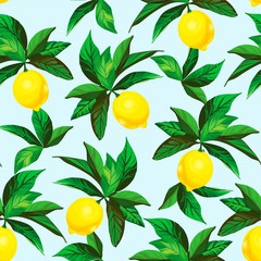 Seamless citrus vector pattern on white background. Hand drawn illustration with lemons. Tropical fruit wallpaper.