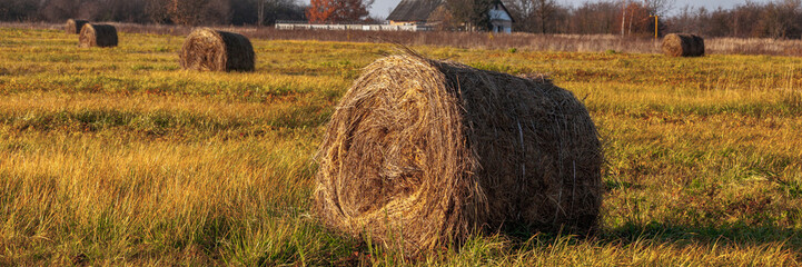 round haystacks on a mowed field