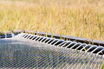 hammock floor over the rice fields