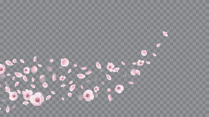 Spring Flowers Blooming. Abstract Closeup On Soft Transparent Backdrop. Flying Petals In Realistic Style. Pink on Transparent.