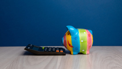 Savings and budget concept with piggy bank