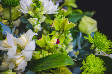 white flowers in the garden