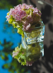 glass of water with ice