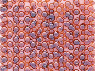 Surface coated with the abstract red caviar as a close-up backdrop texture composition