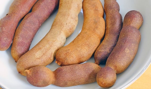 A bowl of fresh tamarind fruit pods