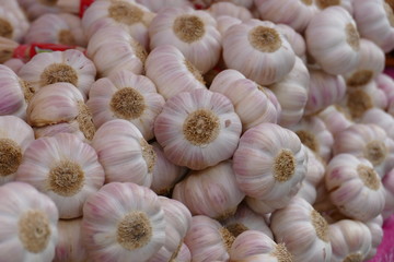 Weisse Knoblauch-Knollen auf einem Haufen