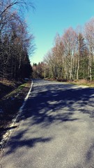 Landstraße durch den Wald