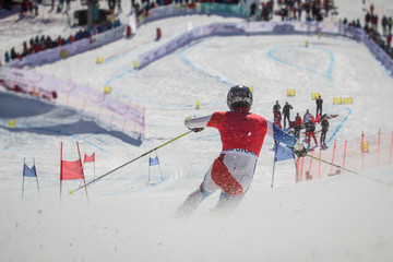 Telemark skier competing in downhill race, seen from the back while rushing towards the finish line