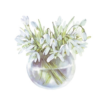 Cute Easter flowers. Spring snowdrop flowers. Hand drawn watercolor snowdrop flower bouquet in glass jar. First spring white flowers. Botanical illustration. For design backgrounds, cards, invitation.