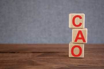CAO (Chief Accounting Officer) on wooden cubes on dark wooden backround. Business concept.