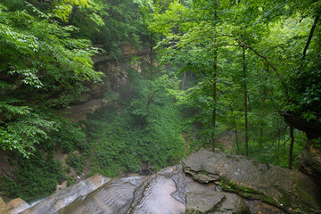 Fototapeta premium Indiana Nature
