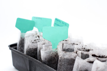 White woven fabric bags with soil in a black plastic container against white background. Isolated home sprouting seedlings process in the ground. Name plates in the dirt.