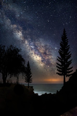 Night panorama milky way with silhuettes of trees and a group of people. Vertical shot.