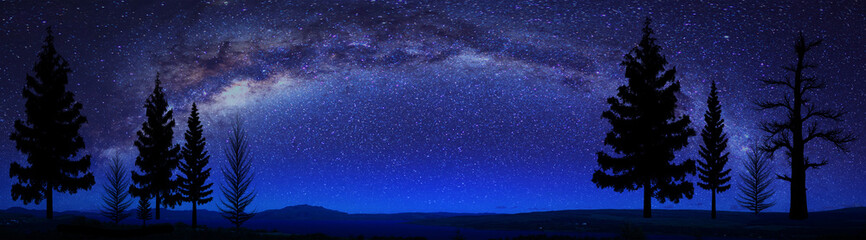 horizontal banner. Milky way night panorama with silhuettes of mountains and trees.