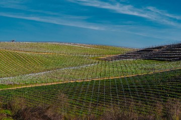 Napa Valley Sausalito in California