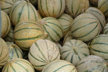Charentais-Melone auf einem Haufen