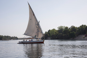 Feluccas on the Nile river in aswan Egypt on a hot day