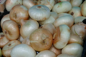 Zwiebeln mit brauner und weisser Schale