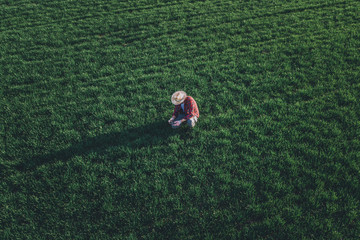 Wheat farmer using drone remote controller in wheatgrass field, aerial