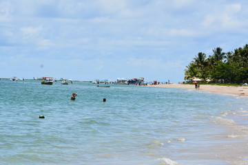 Obraz premium carneiros - pernambuco 