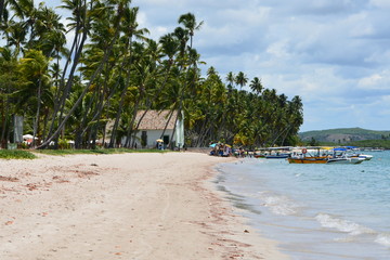 carneiros - pernambuco 