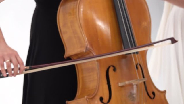 Female musical quartet with violins and cellos playing at white backdrop. Moving focuse from one to another. Close up