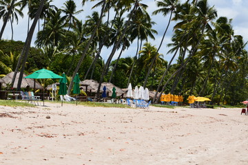 carneiros - pernambuco 