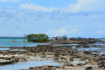 Fototapeta na wymiar carneiros - pernambuco 