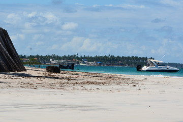 carneiros - pernambuco 