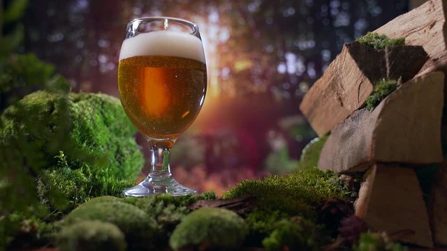 craft beers. outdoors. on sunset background. firewood moss. wood. close up. Natural beer in a glass