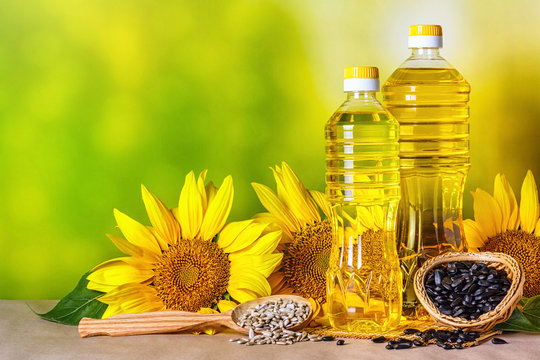 Rural still-life - sunflower oil in bottles with flowers of sunflower (Helianthus annuus), closeup
