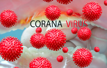 Virus transmission path. Especially coronoviruses can be transmitted through the respiratory tract.