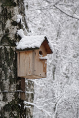 birdhouse in the winter forest