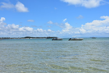 carneiros - pernambuco