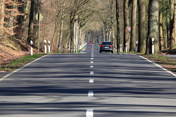 Gerade Landstrasse durch einen Wald mit Auto