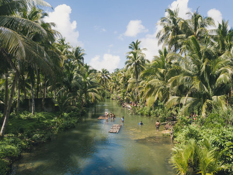 Siargao Island, Philippines - January 2020: Aerial of people on a Maasin River close to the secret palm tree swing in Siargao