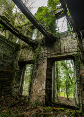 Fototapeta na wymiar Ruins windows covered by green plants