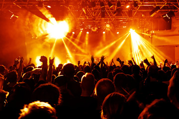 crowd of people at rock concert