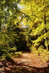 Ochsenkopf im Herbst