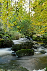 Ochsenkopf im Herbst
