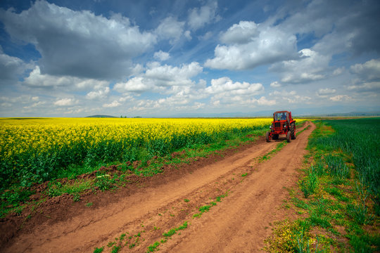 Red Tractor In A Field