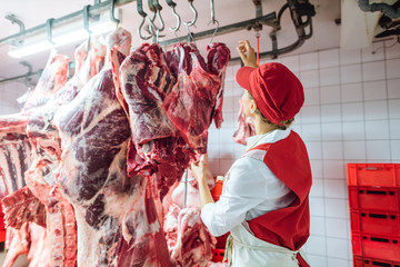 Butcher woman inspecting piece of meat to processed